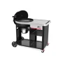 Weber Performer Premium 57 cm #1