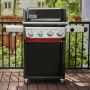 Weber Spirit EPX-435 #3