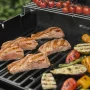 Weber Spirit S-435 #5
